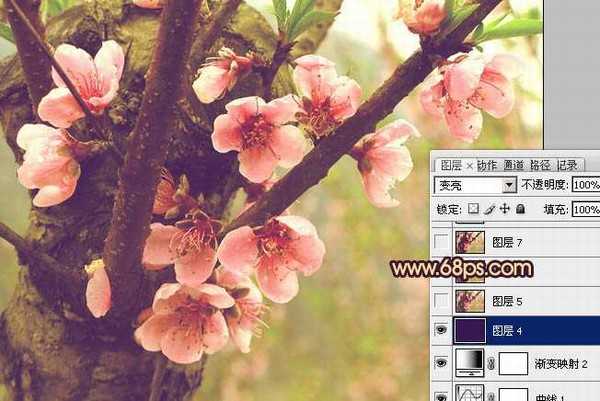 Photoshop调出桃花图片漂亮的粉红色