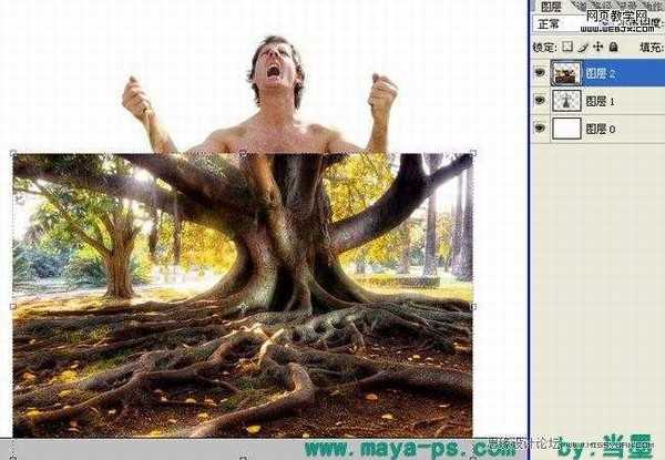 Photoshop合成吓人的树妖制作教程