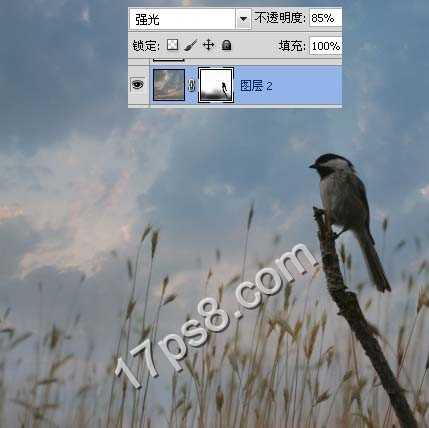 photoshop合成制作出草丛中站立在枯枝上的翠鸟