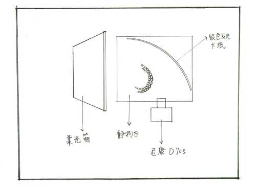 金色项链真假难分——首饰拍摄技巧