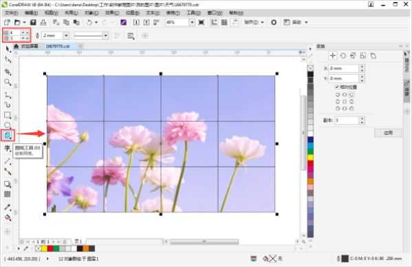 CorelDRAW将图片分割成大小相等方格
