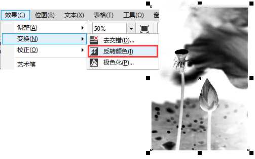 CorelDRAW制作真实照片处理成中国风水墨荷花效果图