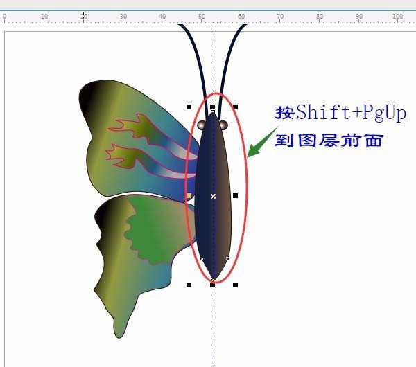 cdr怎么画蝴蝶? cdr手绘蝴蝶的技巧