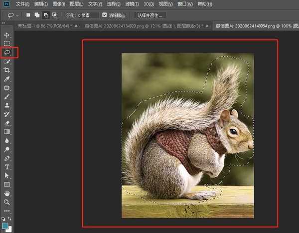 photoshop怎么快速抠动物毛发?PS抠取动物毛发的实用技巧